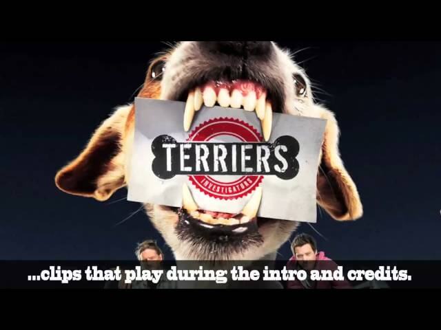 Want to save Terriers? Here are some suggestions...