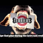 Want to save Terriers? Here are some suggestions...