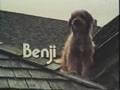 New Benji movie planned, with real dogs and everything
