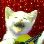 We will never forget: Jingle Cats