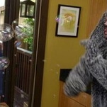 Wilfred: "Conscience"