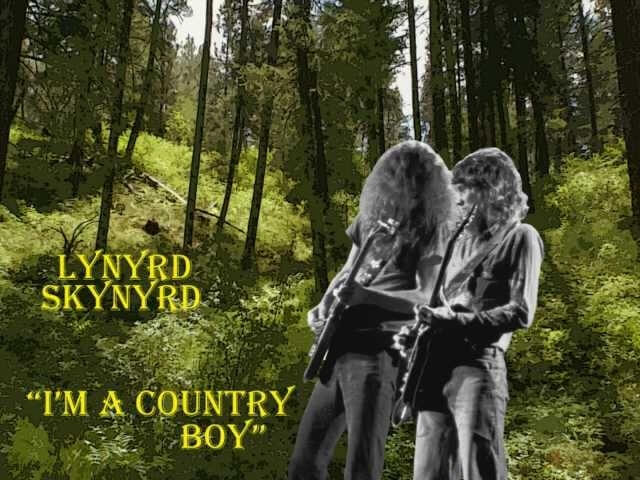 Every mother’s son: Why Lynyrd Skynyrd has survived 