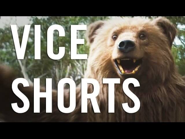 Check out some up-and-coming directors on VICE Shorts, a new video series from VICE