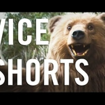 Check out some up-and-coming directors on VICE Shorts, a new video series from VICE