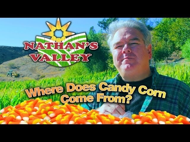 Parks And Recreation’s Jim O’Heir stars in a disgusting ad for Nathan’s Valley organic candy corn