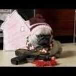 Hey, why not watch a bunch of pug puppies reenact Home Alone?