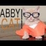 Yep, here’s a kitten video parody of Orange Is The New Black