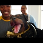 Triumph The Insult Comic Dog recorded a song for you to poop charity on