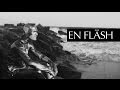 Filmmaker imagines the high-speed angst of Ingmar Bergman’s The Flash