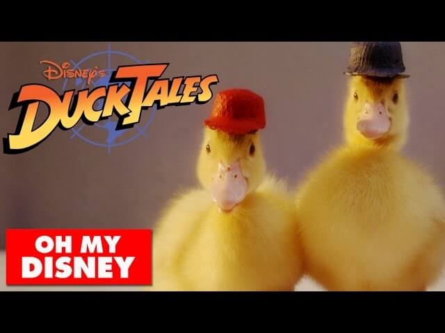 The DuckTales intro recreated with actual ducks is as cute as you’d think