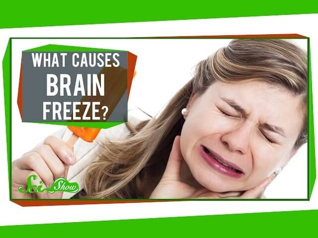 SciShow’s Hank Green explains why you get brain freeze—and how to fight it