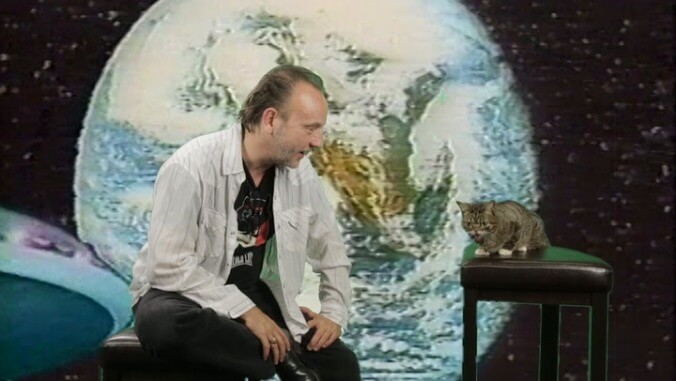 David Yow of The Jesus Lizard interviews Lil Bub, a cat from outer space