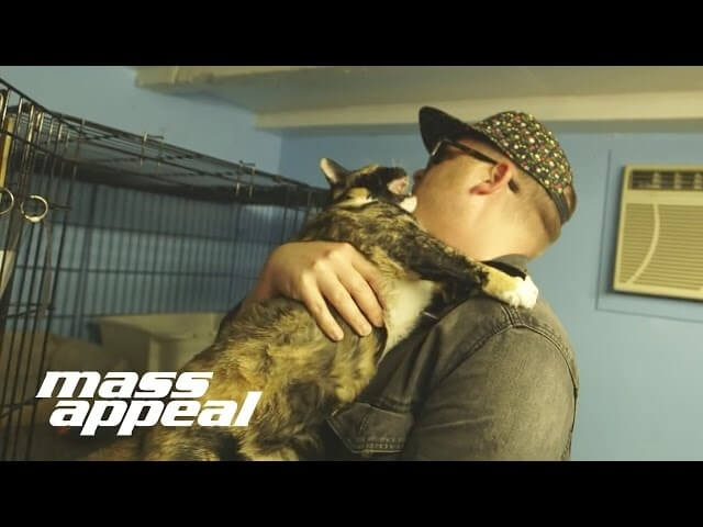 Watch El-P audition cats (and their buttholes) for Meow The Jewels