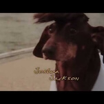 Here’s Dawson’s Creek reenacted by Dachshunds