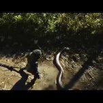 The Discovery Channel is going to show a man get eaten by snake