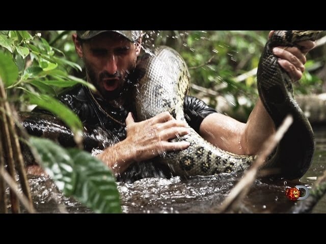 Discovery Channel discovers that people don’t want to see a man eaten by a snake