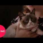 Happy Halloween! Here’s a trailer for Lifetime’s Grumpy Cat Christmas movie