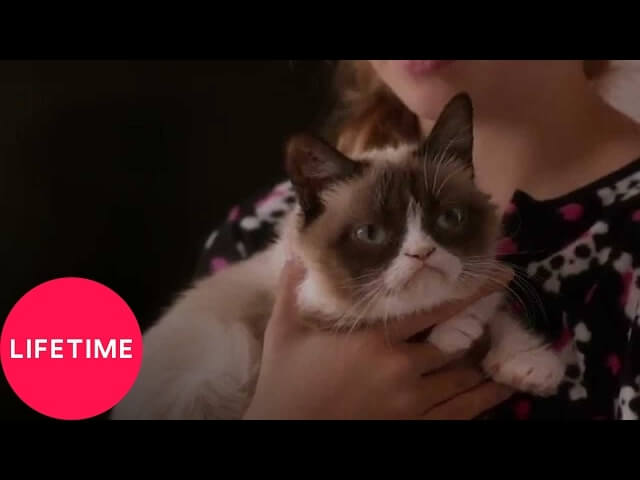 Happy Halloween! Here’s a trailer for Lifetime’s Grumpy Cat Christmas movie