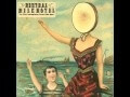 Neutral Milk Hotel announces its last tour “for the foreseeable future”