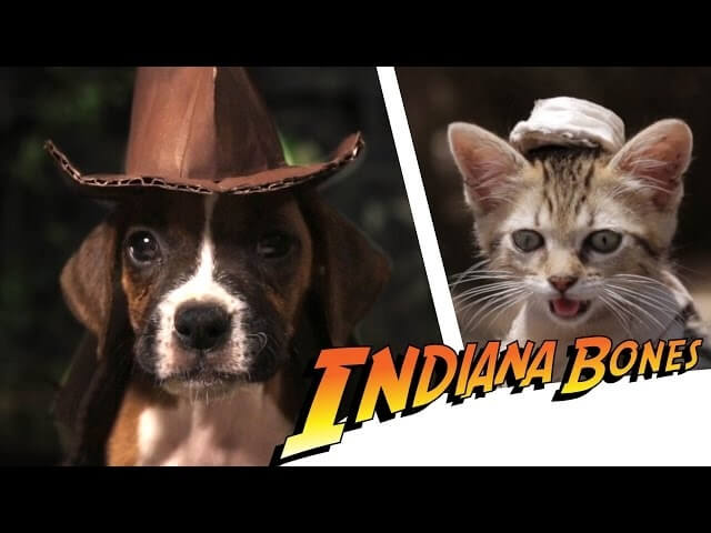 Raiders Of The Lost Ark: The adorable puppies and kittens version