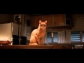 The trailer for The Voices has a cat instructing Ryan Reynolds to kill people