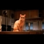 The trailer for The Voices has a cat instructing Ryan Reynolds to kill people