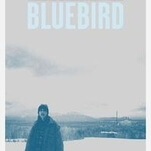 Bluebird bears an unflattering resemblance to a much better film