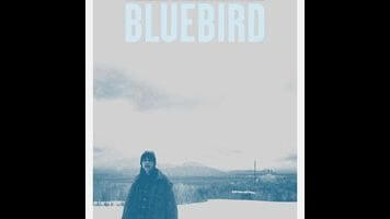 Bluebird bears an unflattering resemblance to a much better film