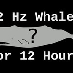 Leonardo DiCaprio gave Adrian Grenier $50,000 to help his whale bro