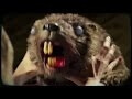 Thanks to the Zombeavers theme song, a generation finally has its anthem