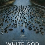 White God is a mongrel of a dog movie, madly mixing genres and tones