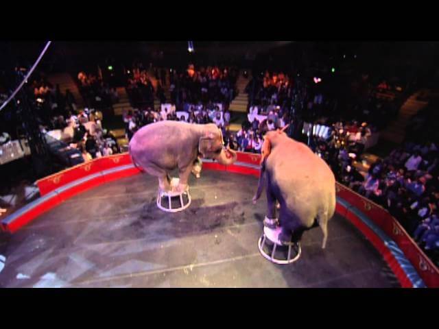 Ringling Bros. to drop elephant acts, thanks in part to HBO documentary