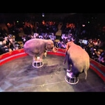 Ringling Bros. to drop elephant acts, thanks in part to HBO documentary