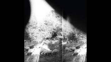 Godspeed You! Black Emperor punctuates chaos with hope