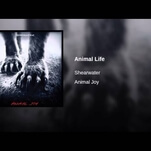 Shearwater’s “Animal Life” balances the human and animal