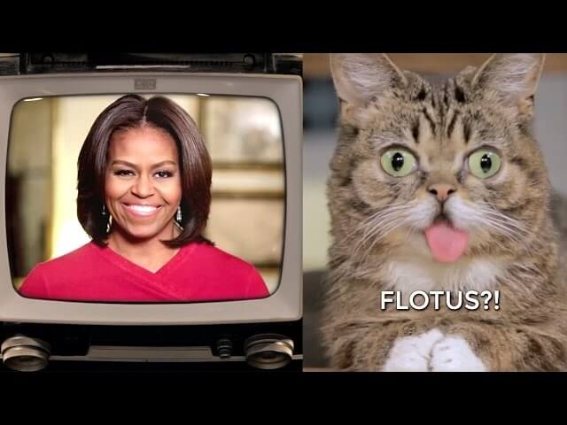 Michelle Obama experiences the Lil Bub workout