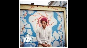 Toro Y Moi dabbles in psychedelic rock on the aptly titled What For?