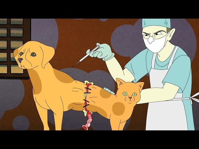 The scientifically accurate CatDog is a horrifying abomination