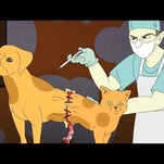 The scientifically accurate CatDog is a horrifying abomination