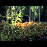 Swedish folk band promoted album by only letting users stream it while in the woods