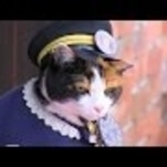 R.I.P. Station Master Tama, railway executive, goddess, cat