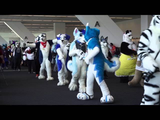 Watch almost 1500 furries strut their stuff at this year’s Anthrocon