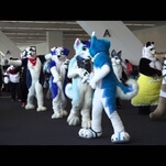 Watch almost 1500 furries strut their stuff at this year’s Anthrocon