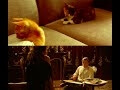 An all-kitten cast makes Titanic all the more tragic