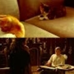 An all-kitten cast makes Titanic all the more tragic