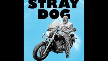 The director of Winter’s Bone goes back to the Ozarks in Stray Dog