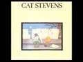 Cat Stevens takes less than 2 minutes to captivate