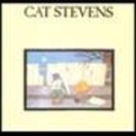 Cat Stevens takes less than 2 minutes to captivate