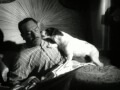 R.I.P. Uggie, the dog from The Artist