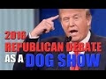 The Republican Presidential Debate, but as a dog show